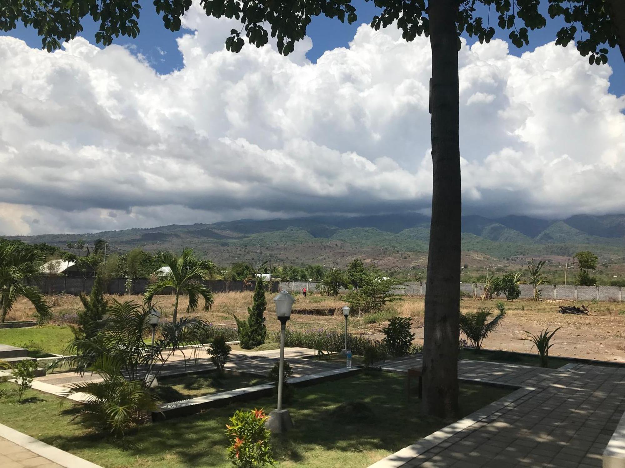 Pohon Purba Resort & Restaurant Labuhan Pandan Exteriér fotografie