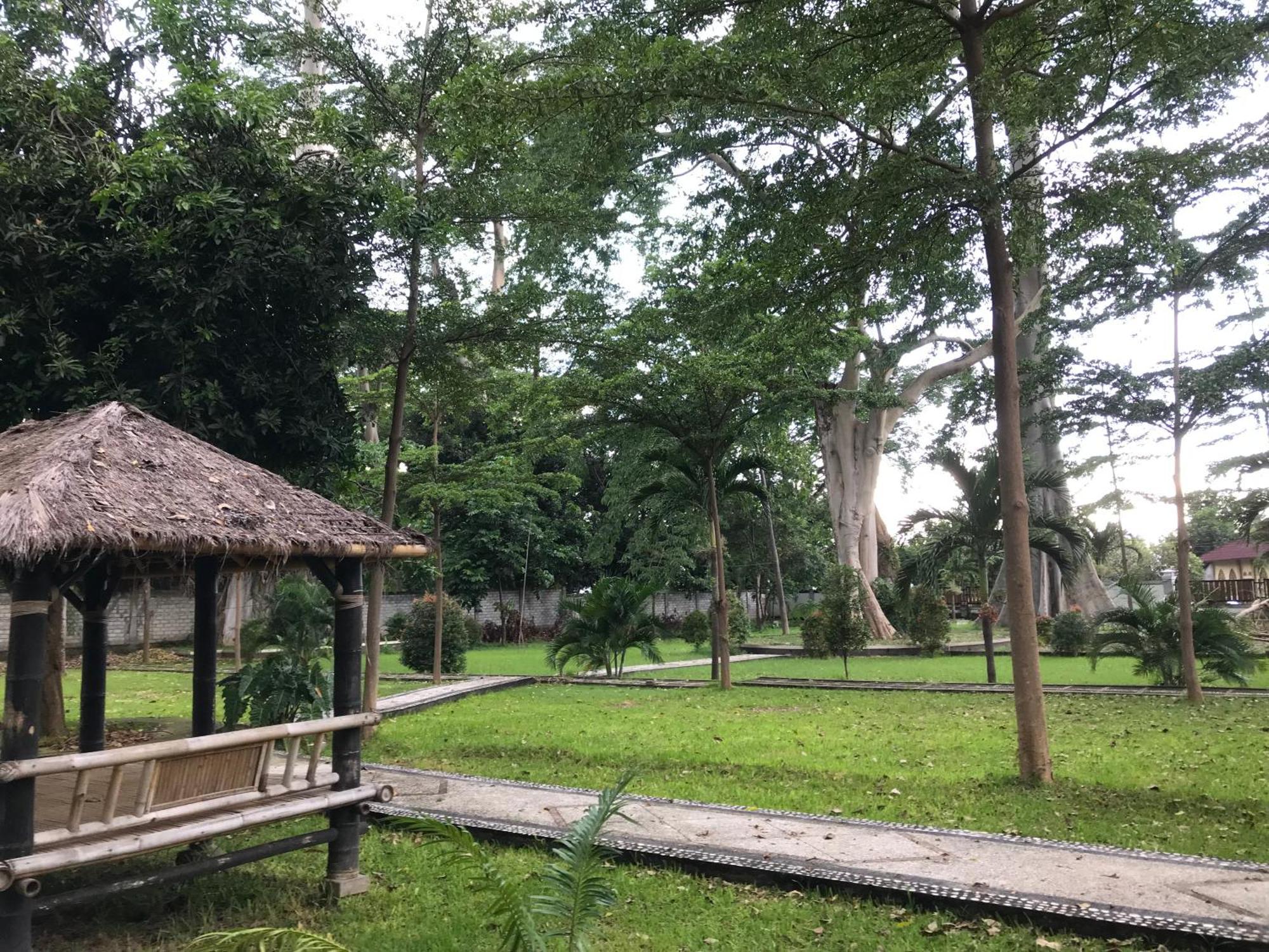 Pohon Purba Resort & Restaurant Labuhan Pandan Exteriér fotografie