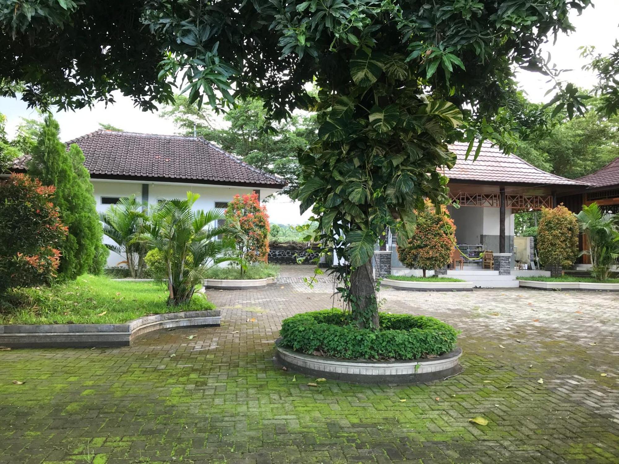 Pohon Purba Resort & Restaurant Labuhan Pandan Exteriér fotografie