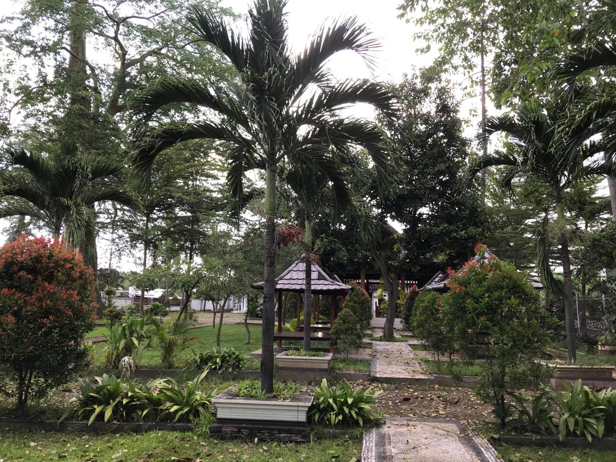 Pohon Purba Resort & Restaurant Labuhan Pandan Exteriér fotografie