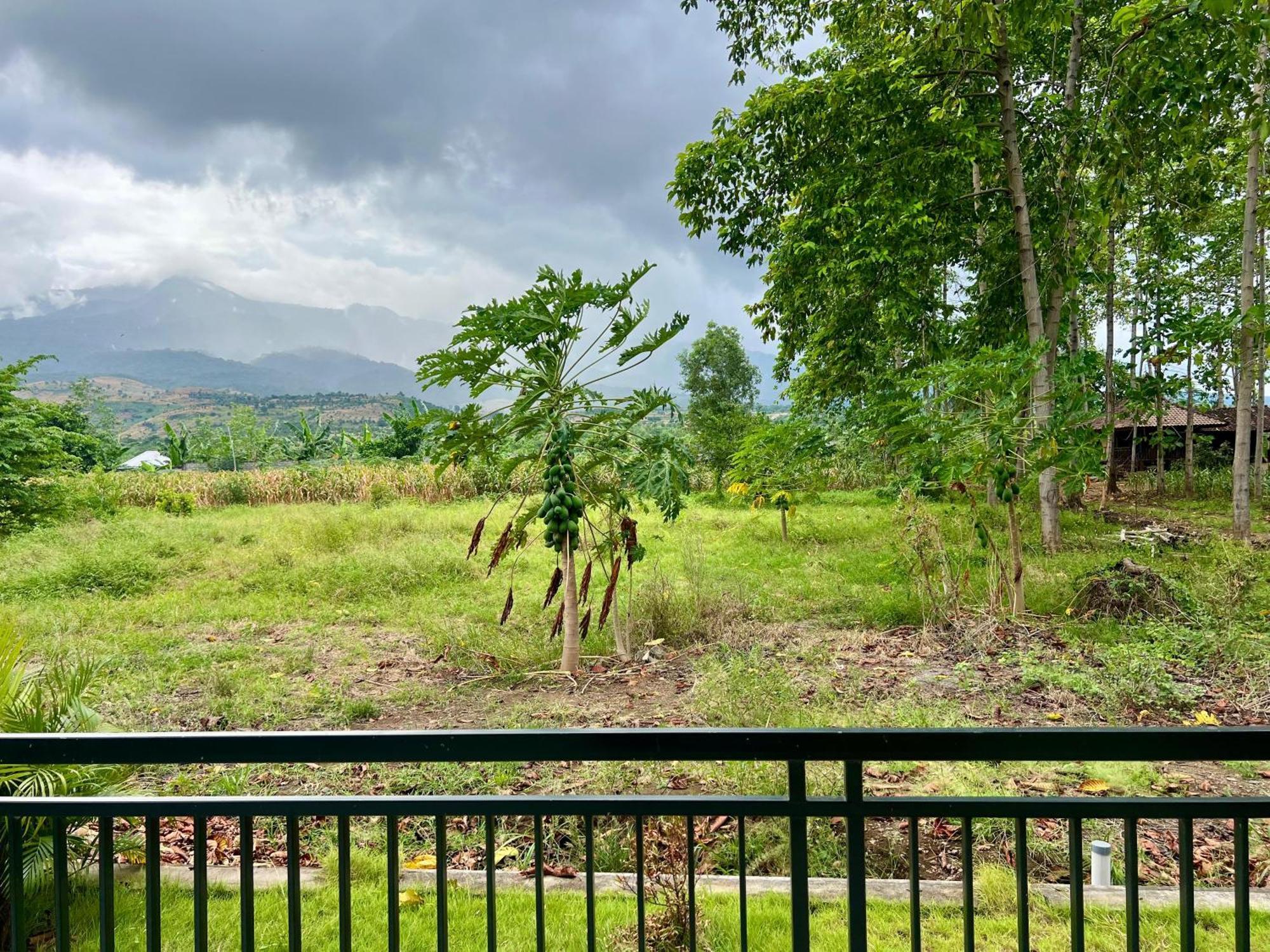 Pohon Purba Resort & Restaurant Labuhan Pandan Exteriér fotografie