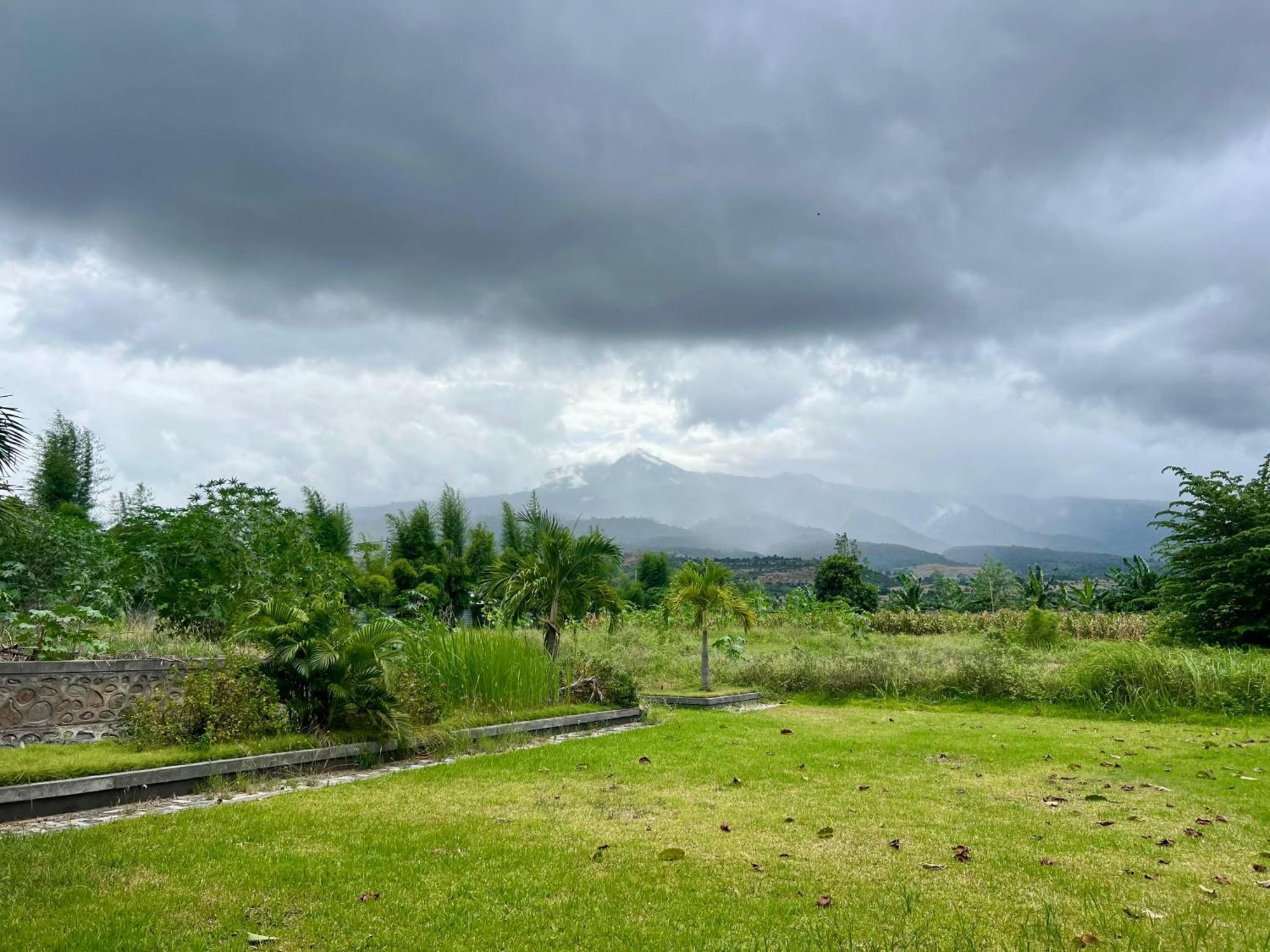Pohon Purba Resort & Restaurant Labuhan Pandan Exteriér fotografie